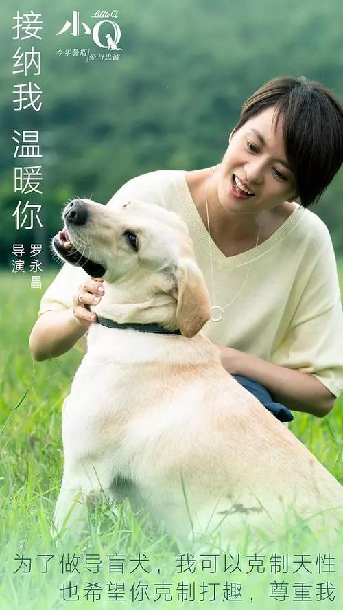 维拉诺瓦大学MarketDevelopmentDiploma